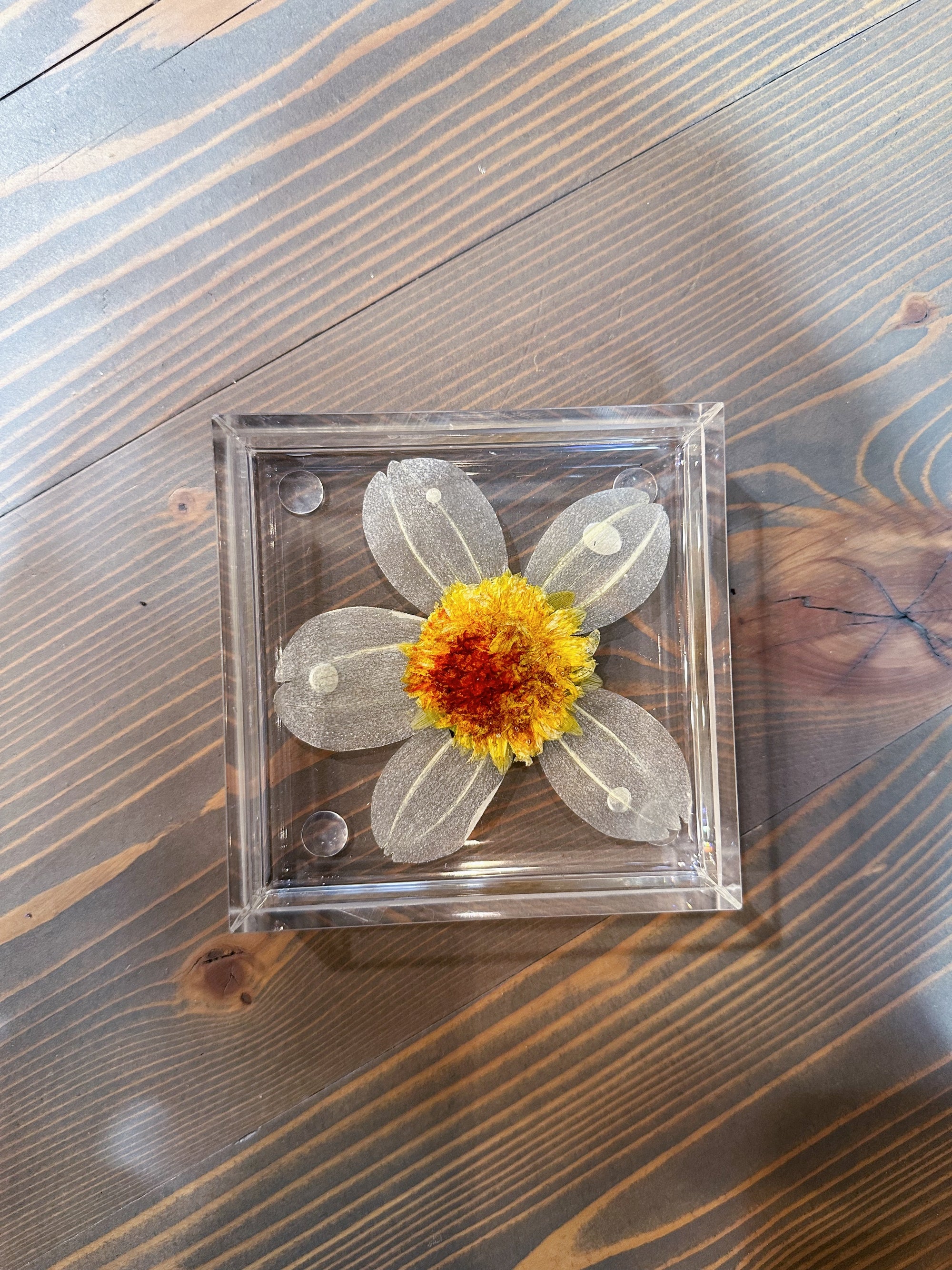 A square resin ring dish includes a pressed white flower with a yellow and orange flower placed at its center. It is set on a wooden surface. 