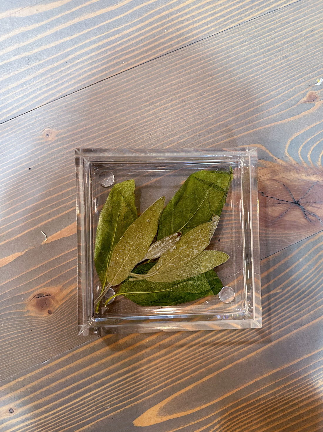 Square Pressed Flower Ring Dishes