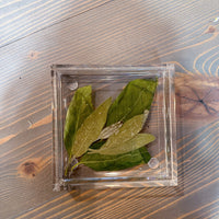 Square Pressed Flower Ring Dishes