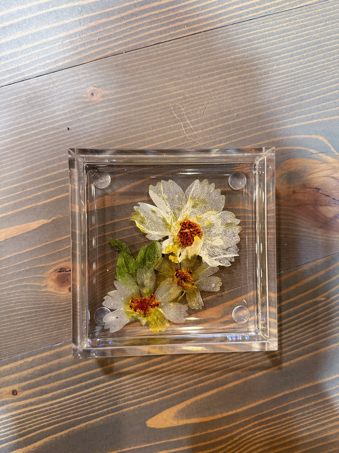 Square Pressed Flower Ring Dishes