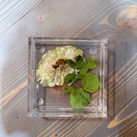 Square Pressed Flower Ring Dishes