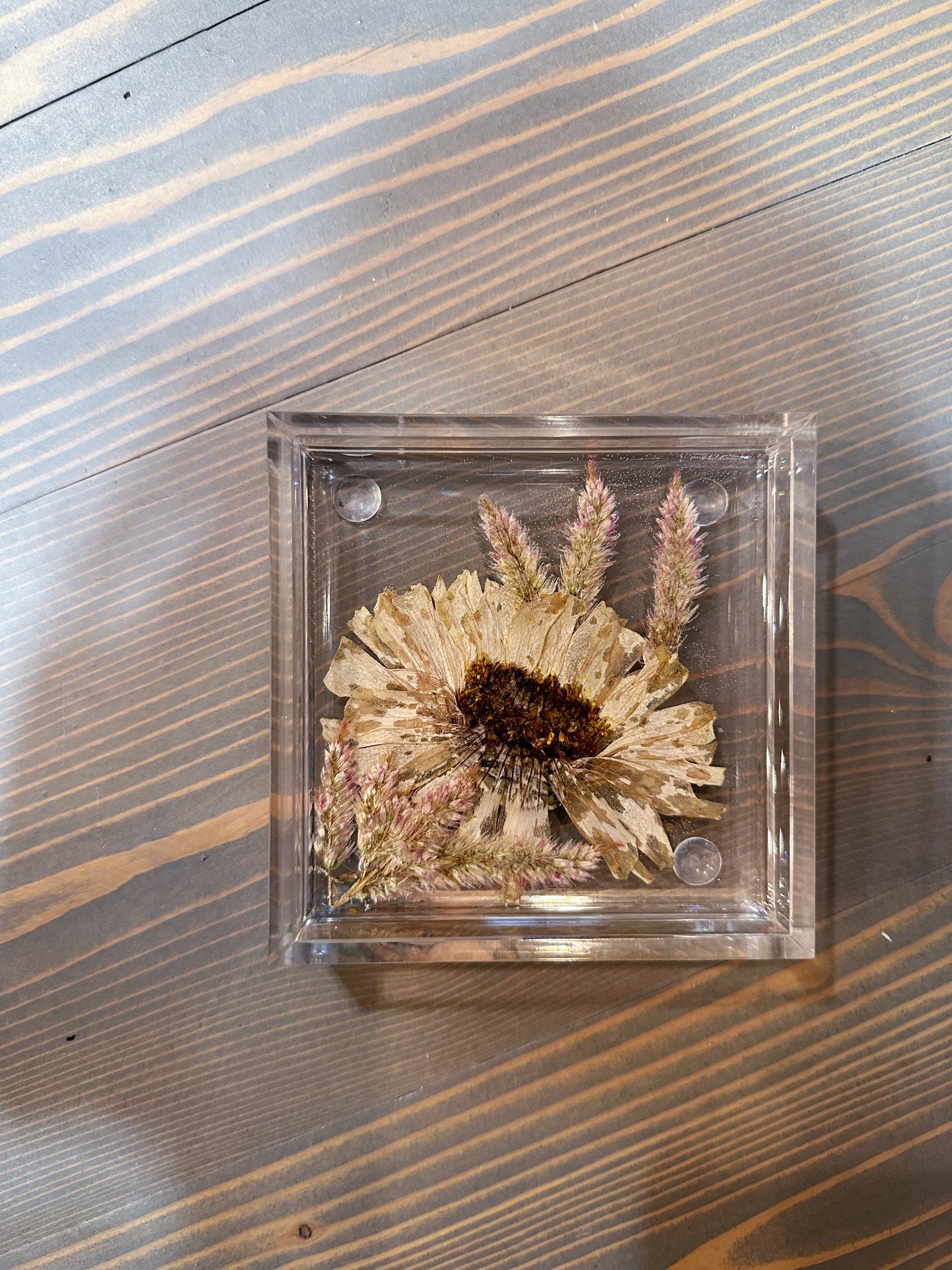 A square resin ring dish designed with one pressed white flower and a few flowering greens is set against a wooden background. 