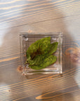 A square resin ring dish includes a few pressed green leaves and is placed against a wooden background. 