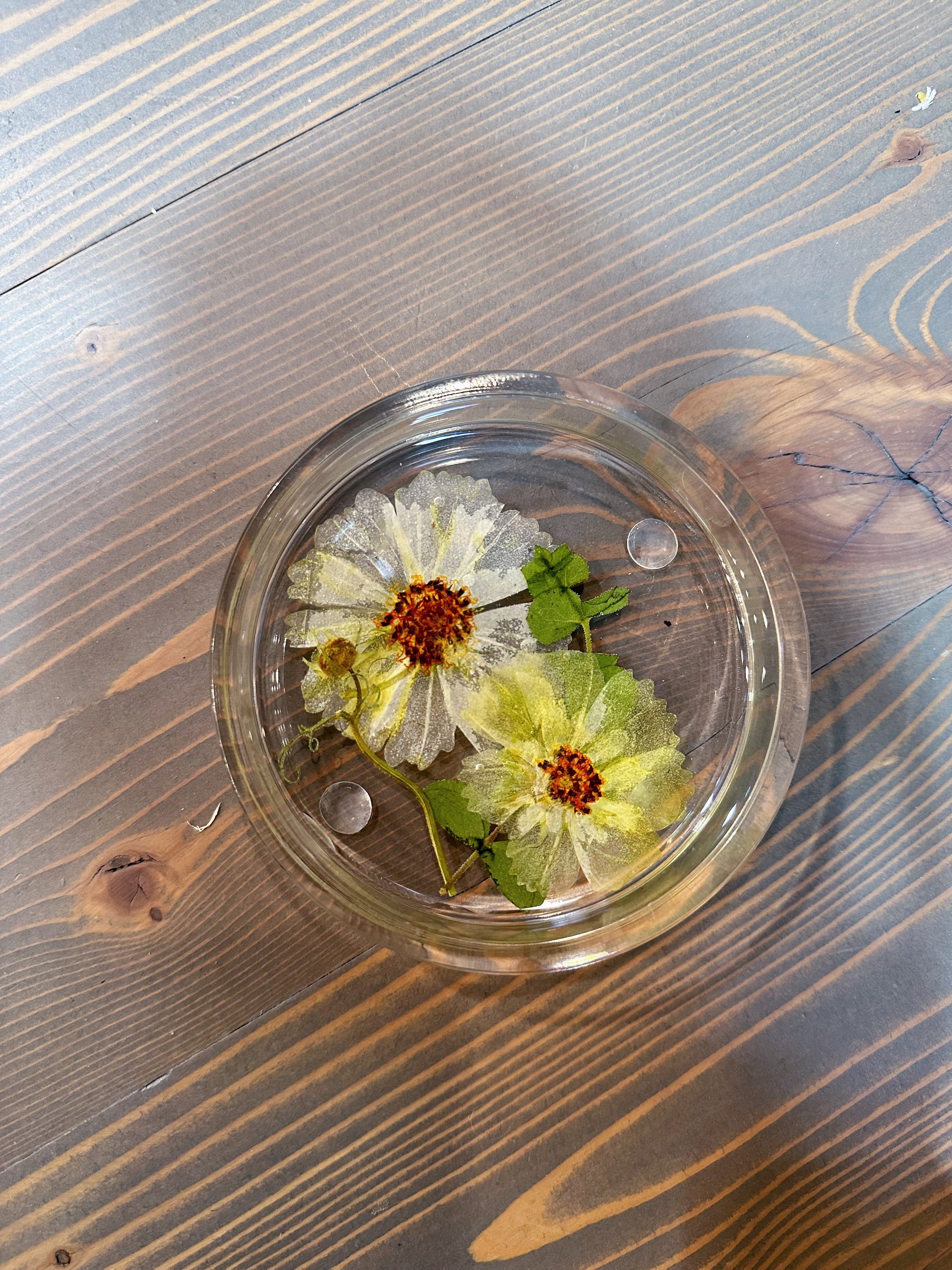 A circle resin ring dish with two pressed white and yellow flowers is placed on top of a wooden surface. 