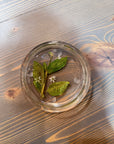 A circle resin ring dish includes a pressed stem with a few green leaves and tiny white flowers is placed on top of a wooden surface. 