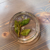 Circle Pressed Flower Ring Dishes