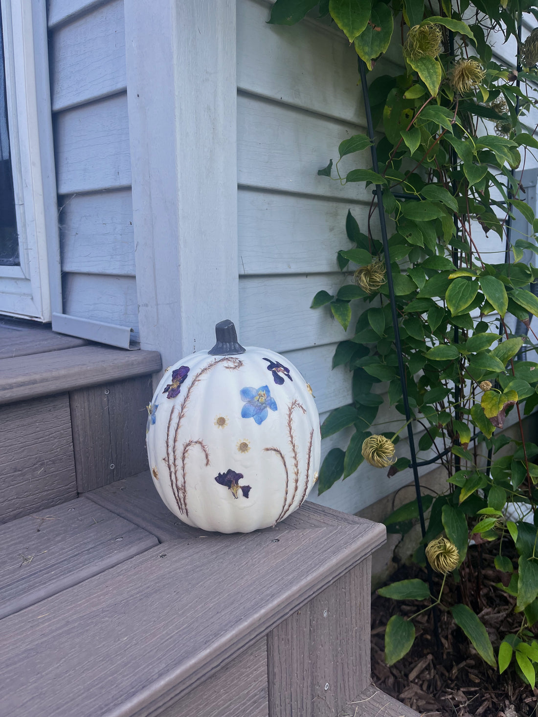 a white pumpkin with pressed flowers on a step outside next to a plant