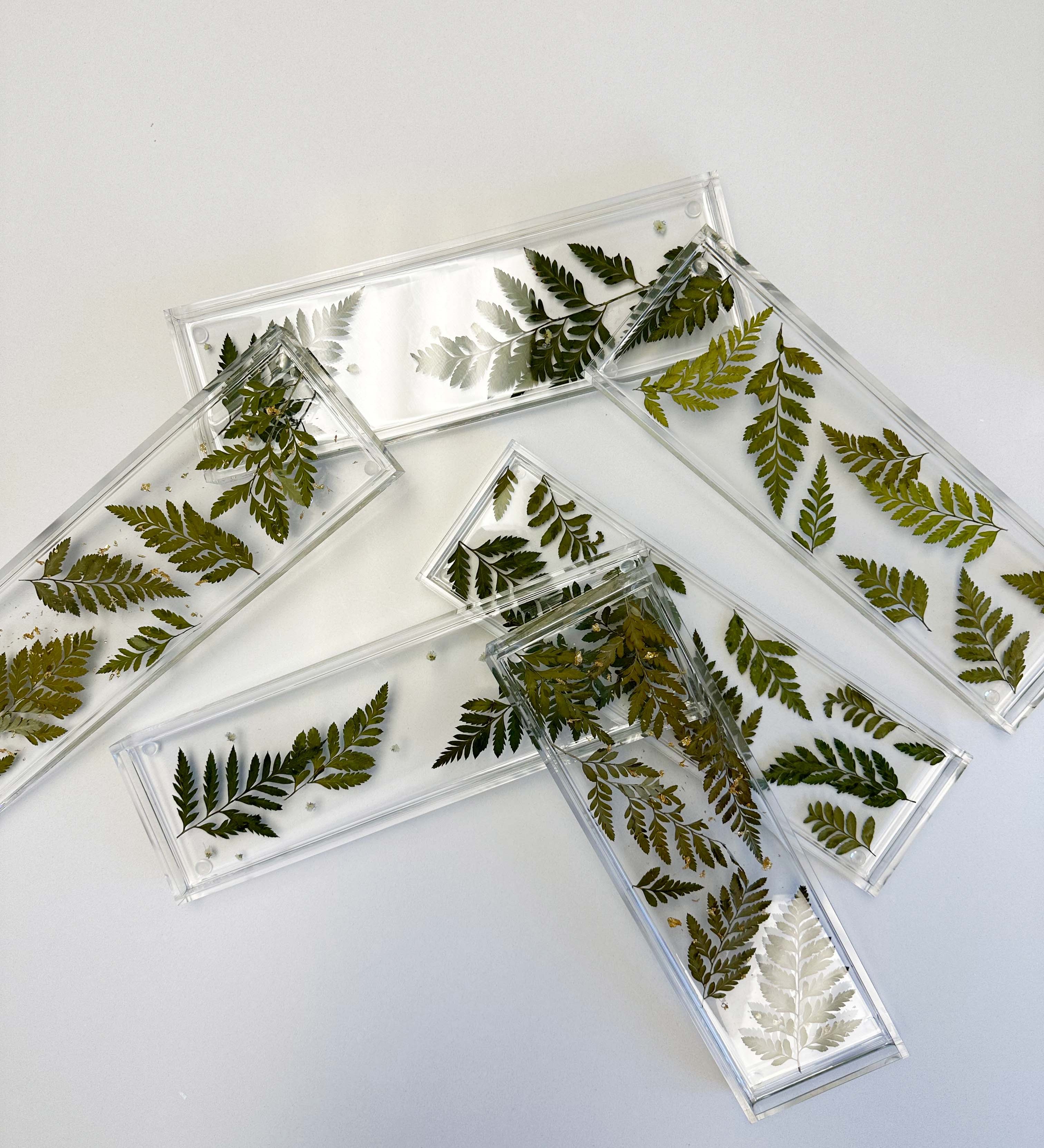 Resin Display trays with pressed ferns