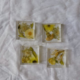 Four square resin coasters with white and green pressed flowers are arranged next to each other against a white background. 