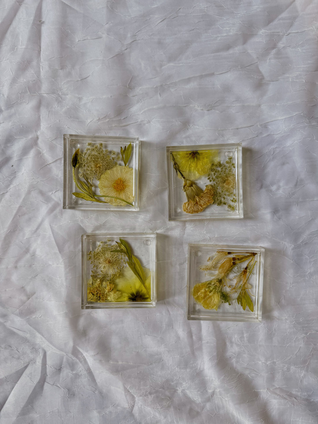 Four square resin coasters with white and green pressed flowers are arranged next to each other against a white background. 