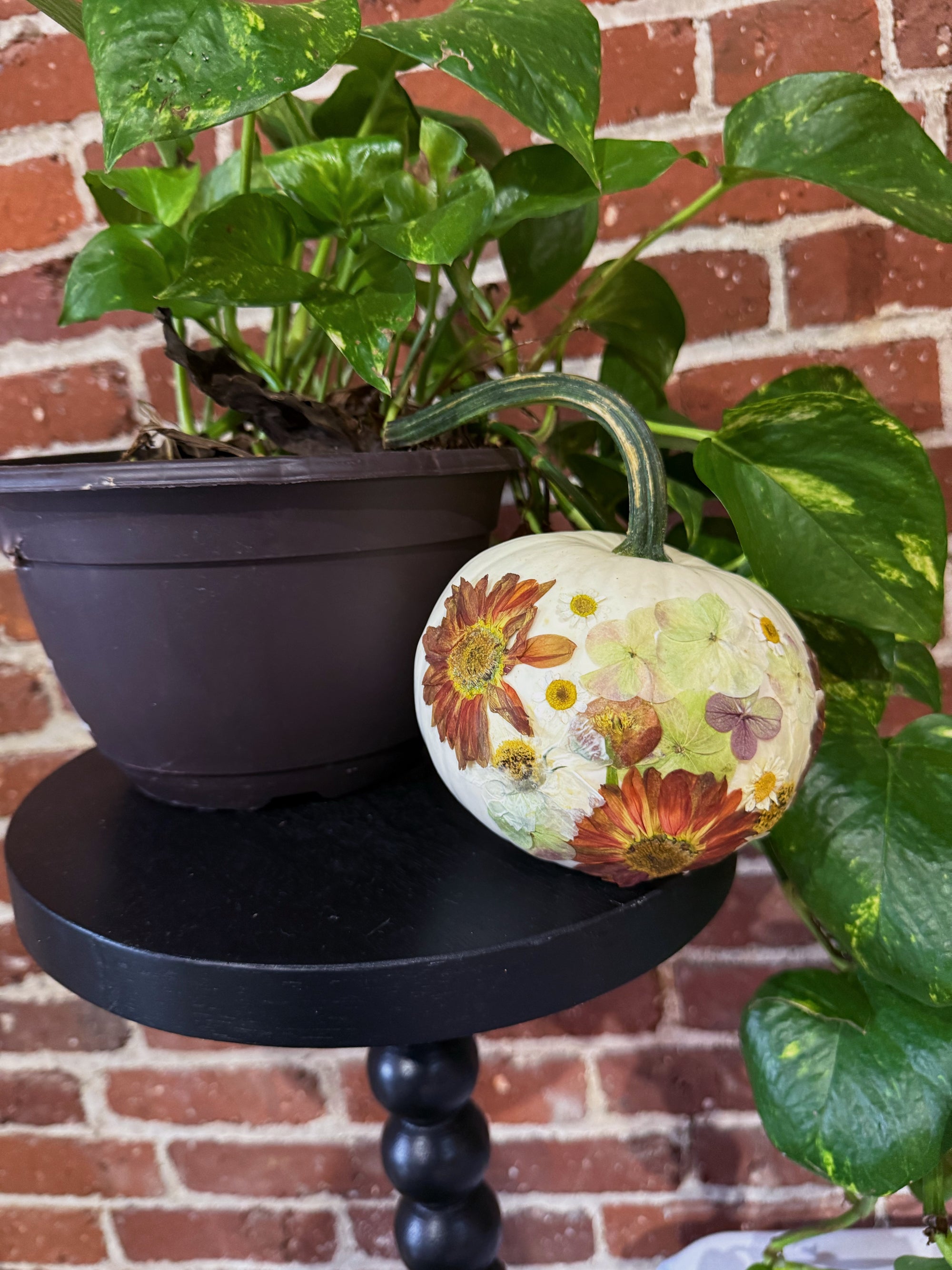 white pumpkin with pressed flowers designed on it sitting on a black stool with plants surrounding it in front of a brick wall