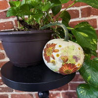 white pumpkin with pressed flowers designed on it sitting on a black stool with plants surrounding it in front of a brick wall