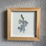 Birth Flower Frame | 10x10 | 6x6