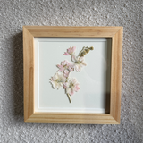 Birth Flower Frame | 10x10 | 6x6