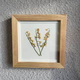 Birth Flower Frame | 10x10 | 6x6