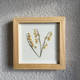 Birth Flower Frame | 10x10 | 6x6