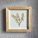 Birth Flower Frame | 10x10 | 6x6