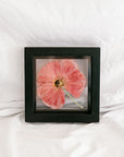 6x6 August Birth Flower frame - Poppies