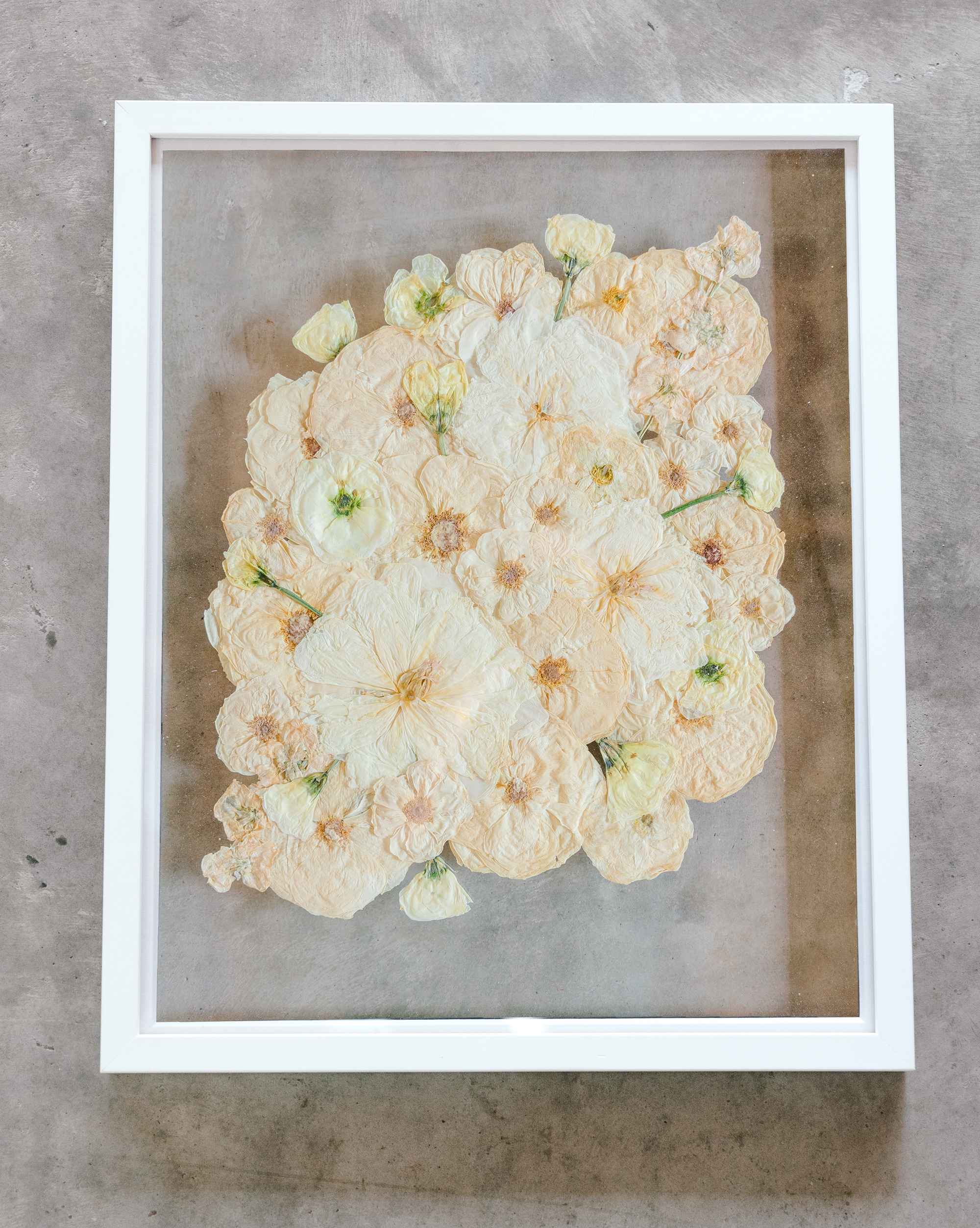 An all white ball bouquet pressed and preserved into a white frame against concrete.