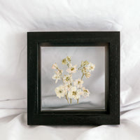 6x6 July Birth Flower frame - Larkspur