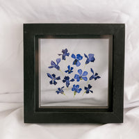 6x6 February birth flower frame - Violets