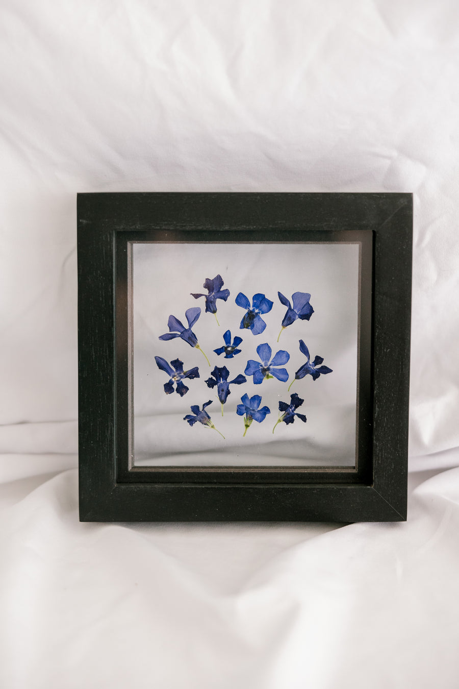 6x6 February birth flower frame - Violets