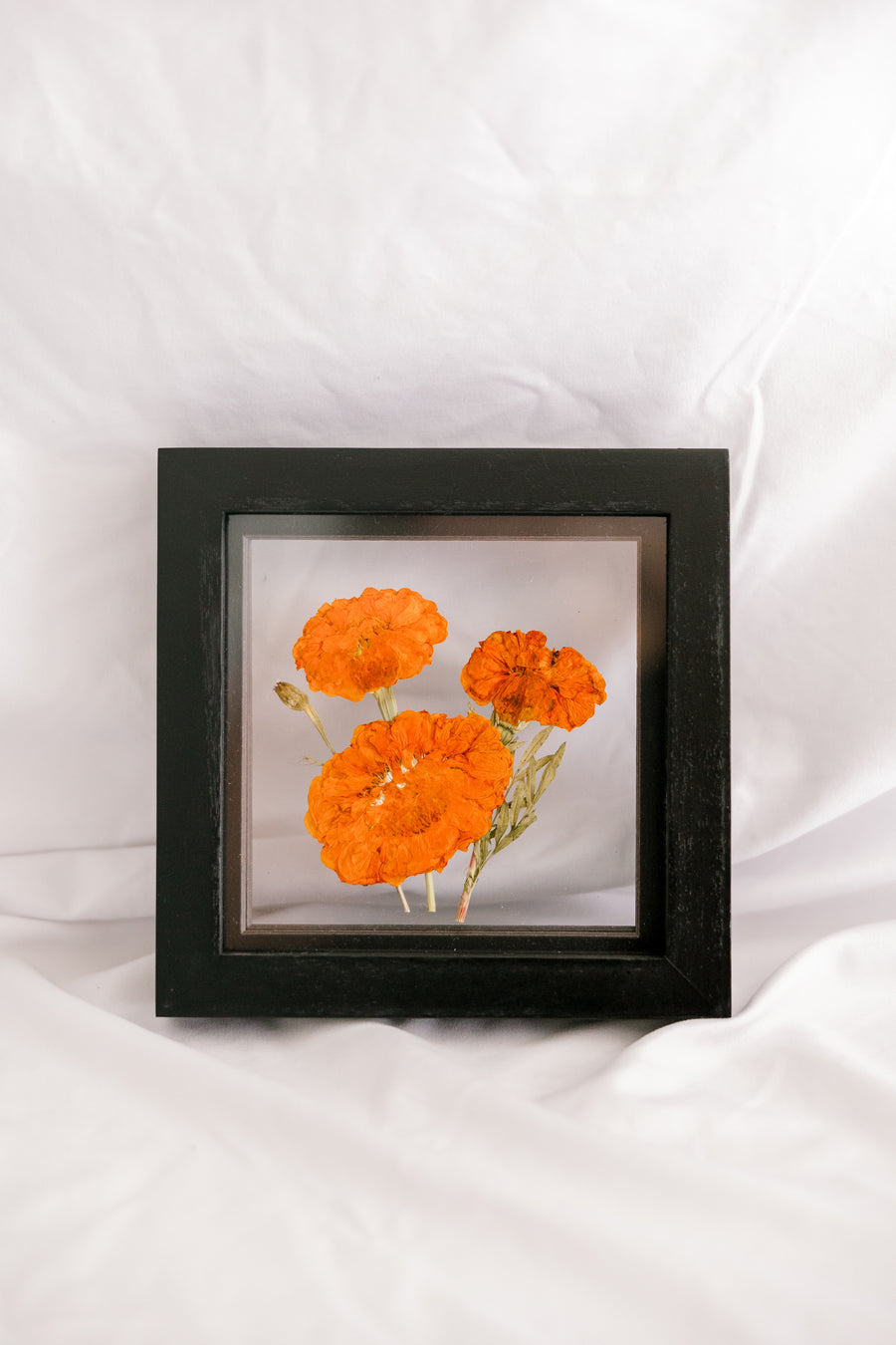 6x6 Marigold birth flower frame - October