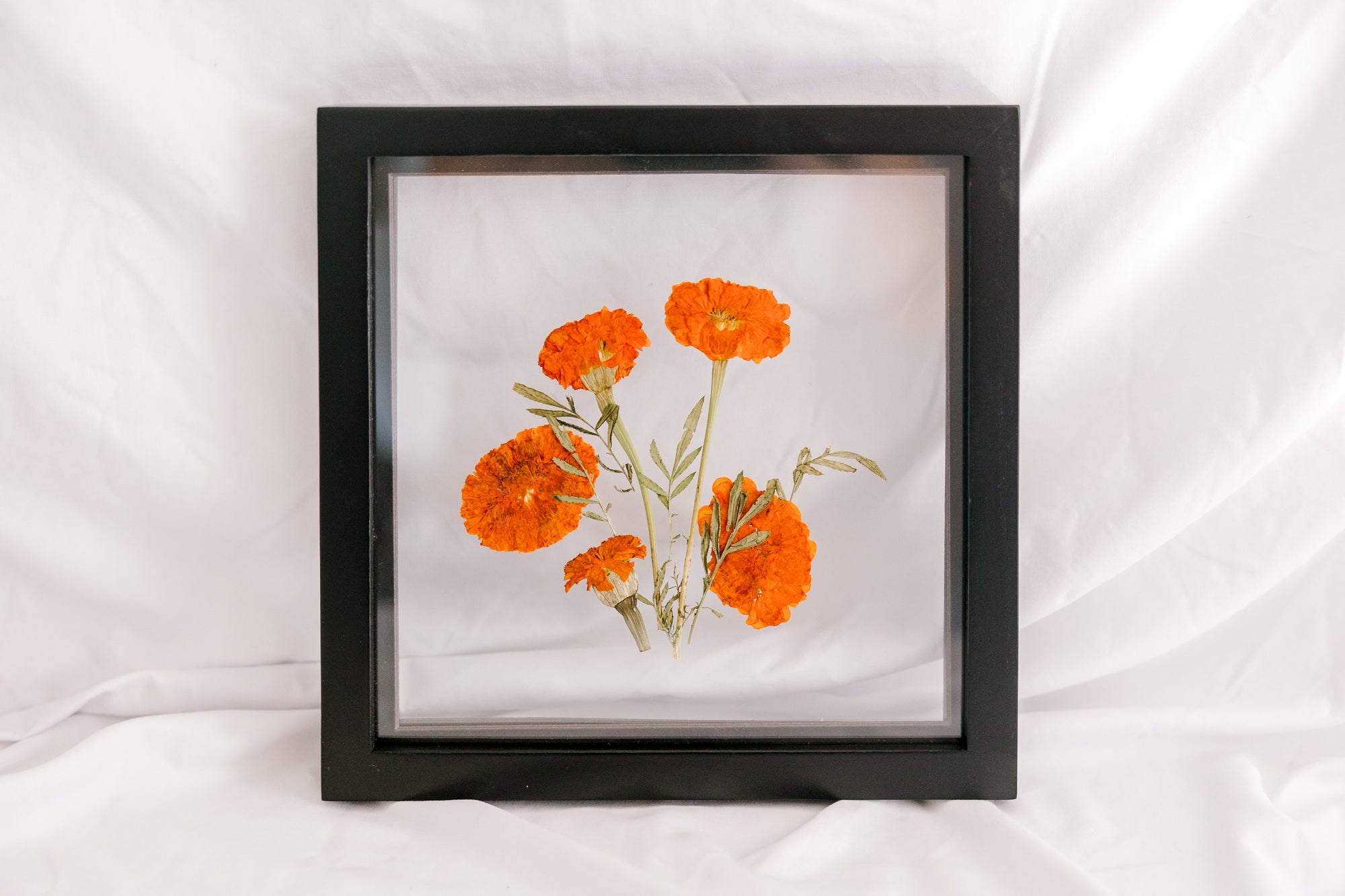 10x10 October birth flower frame - Marigold