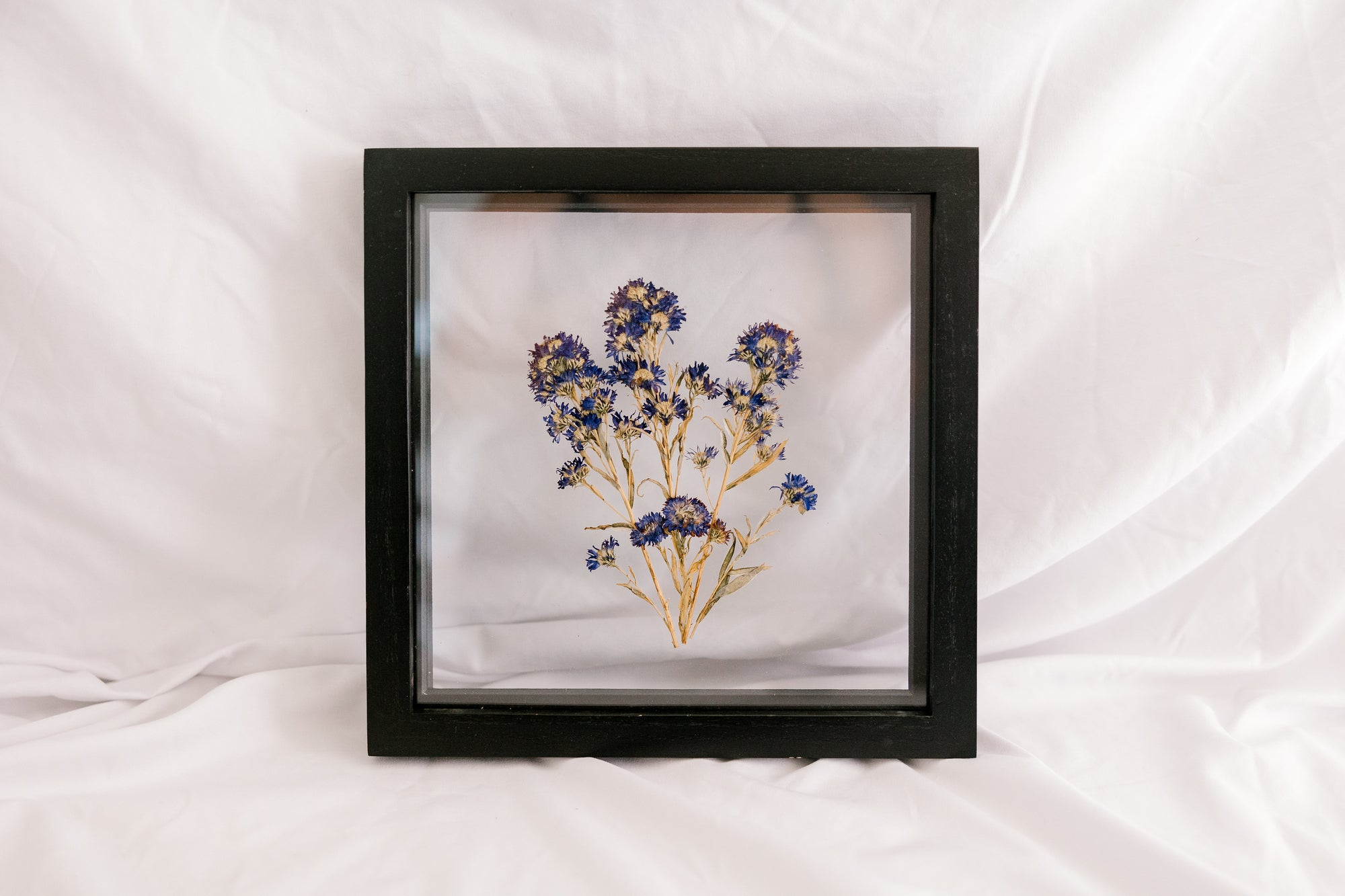 10x10 September birth flower frame - Aster