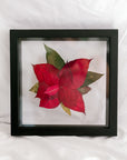 10x10 December birth flower frame - Poinsettia