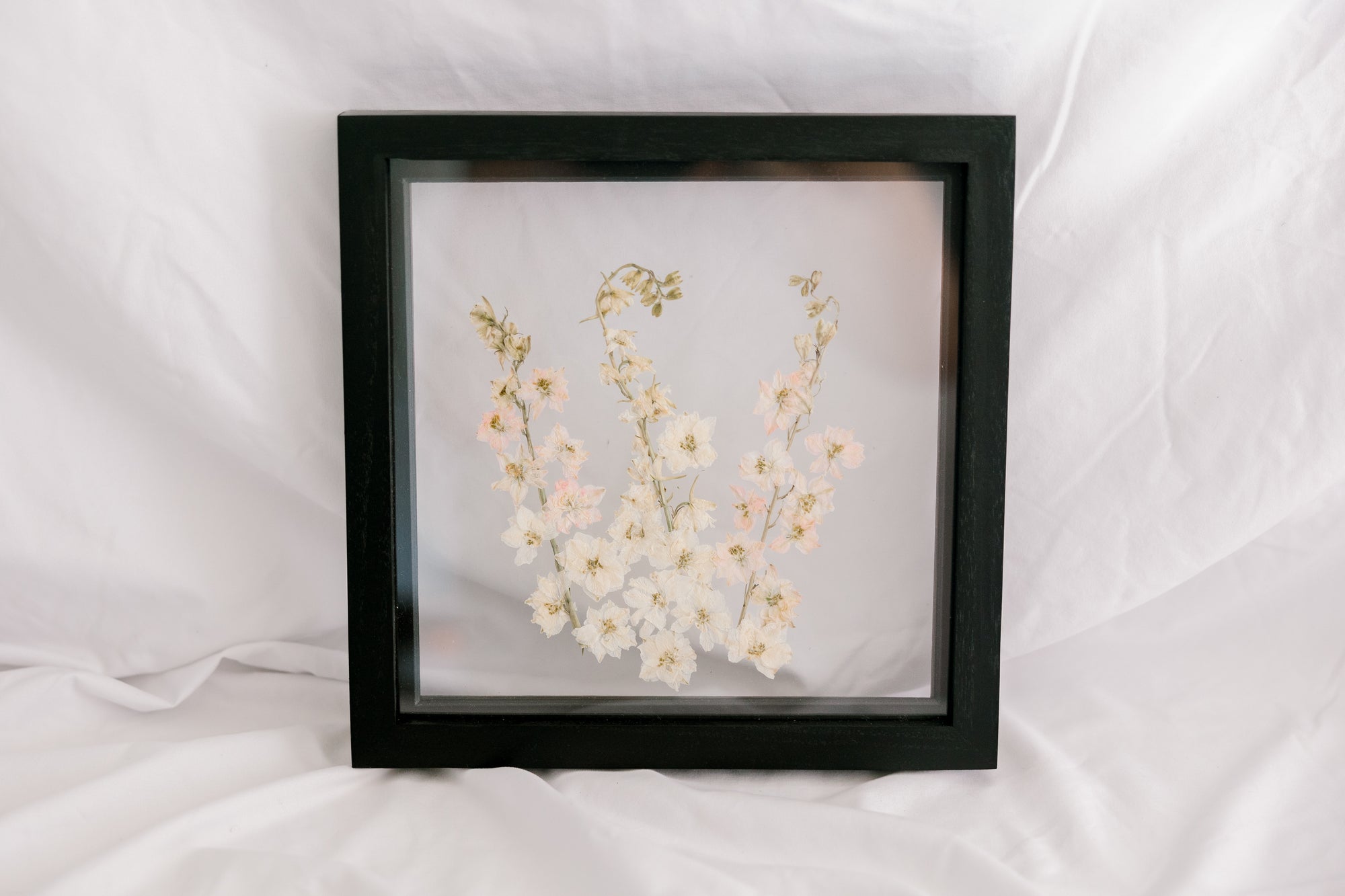 10x10 July birth flower frame - Larkspur