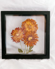 10x10 November birth flower frame - Chrysanthemum