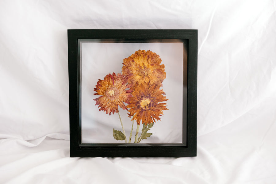 10x10 November birth flower frame - Chrysanthemum