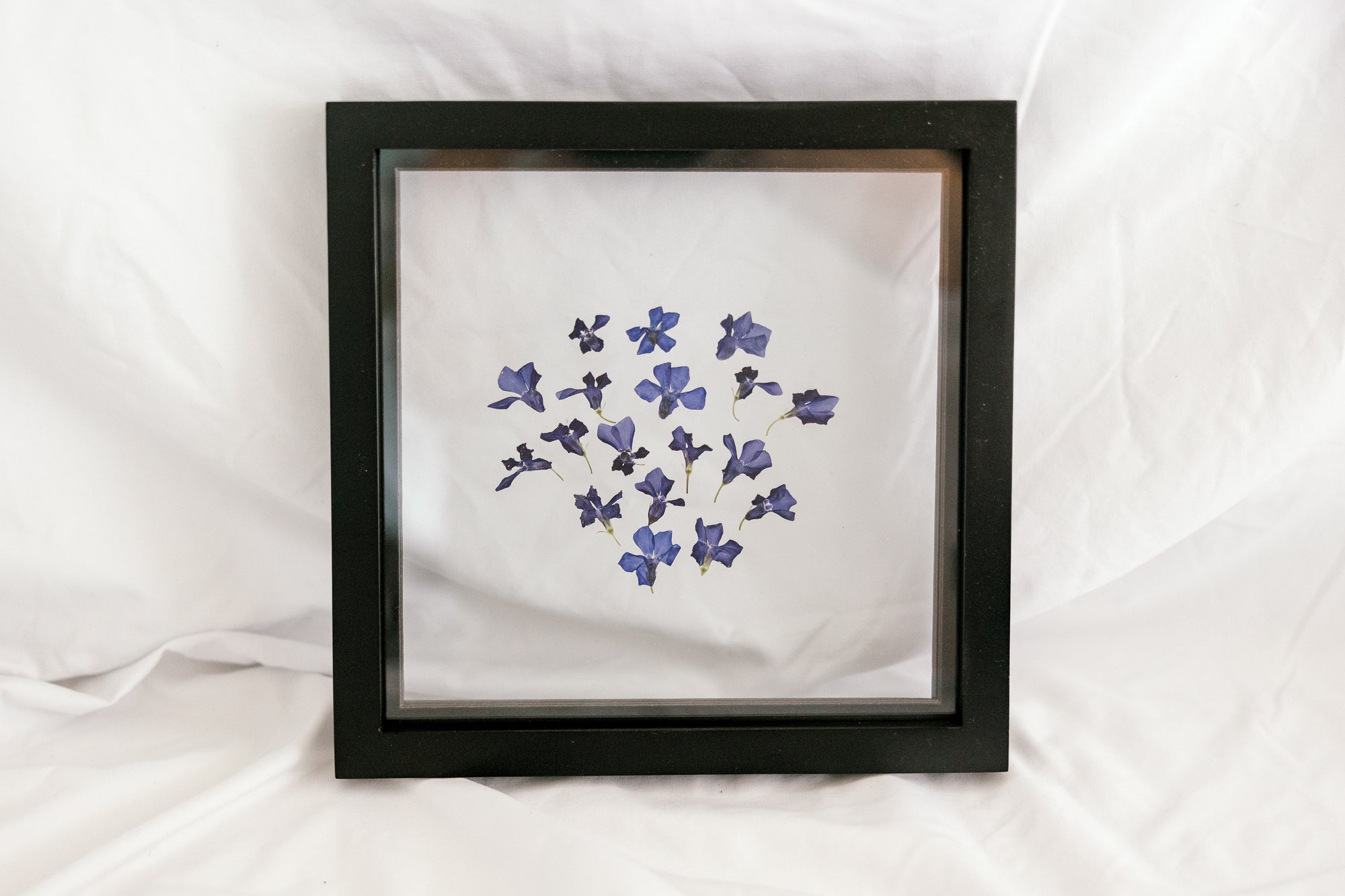 10x10 February birth flower frame - Violets