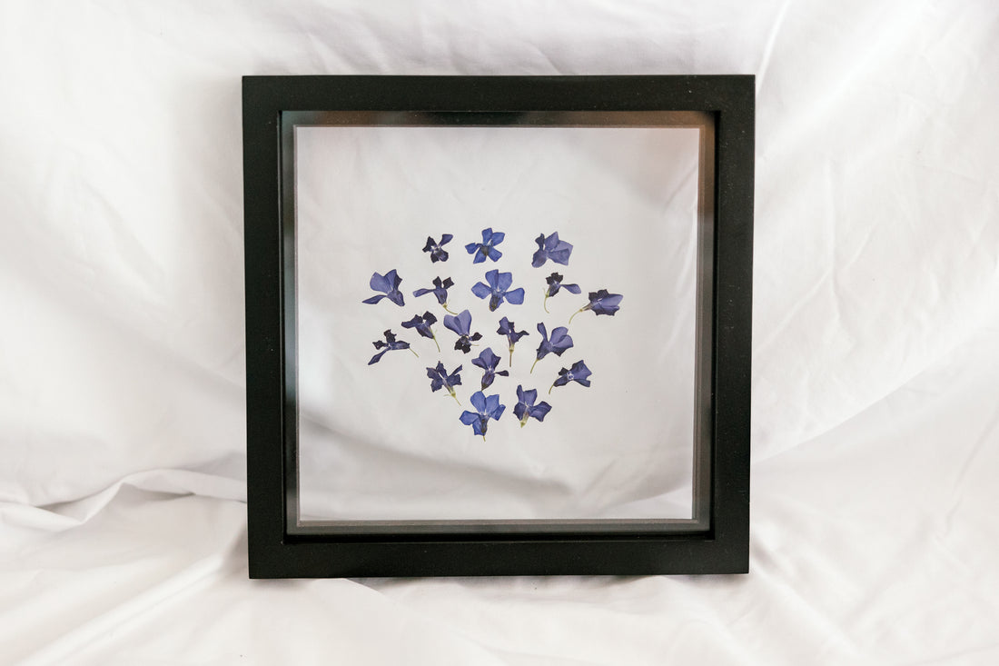 10x10 February birth flower frame - Violets