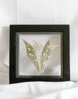 6x6 May birth flower frame - Lily of the Valley