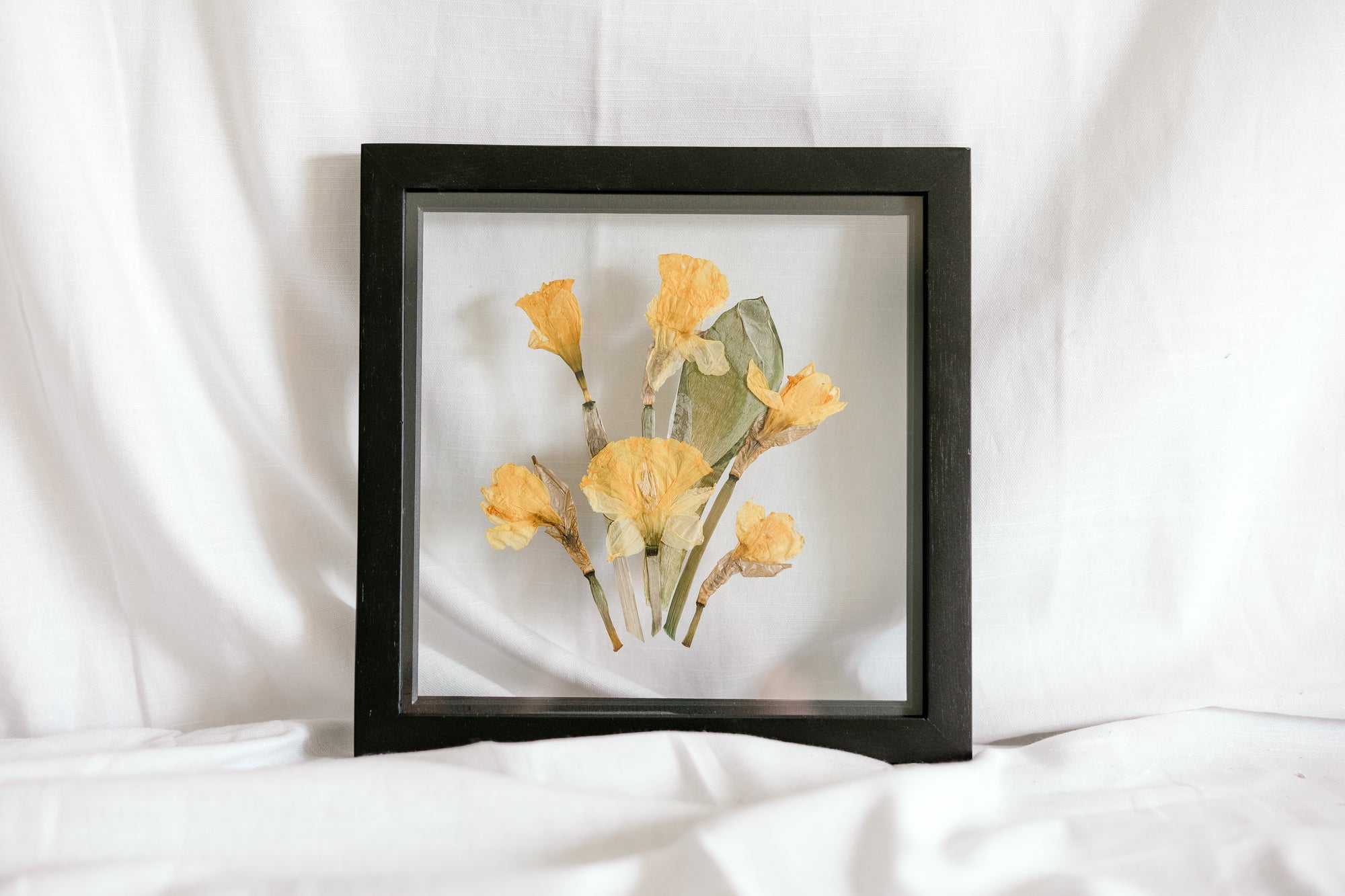 10x10 March birth flower frame - Daffodil