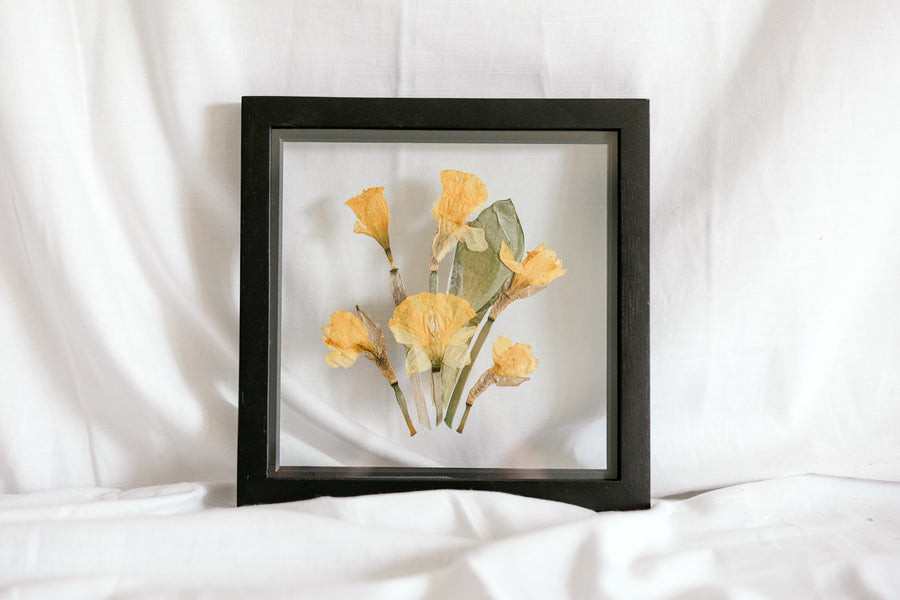 10x10 March birth flower frame - Daffodil