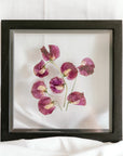 10x10 April birth flower frame - Sweet Pea