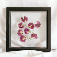 10x10 April birth flower frame - Sweet Pea