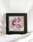 6x6 April birth flower frame - Sweet Pea