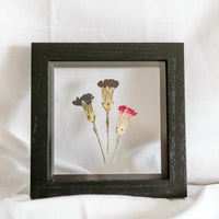 6x6 January birth flower frame - Carnations