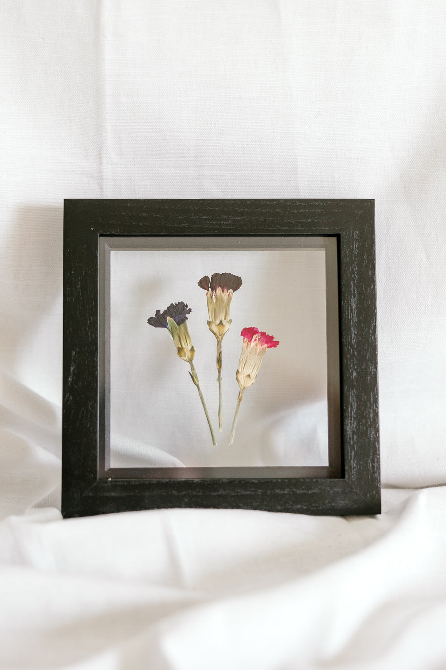 6x6 January birth flower frame - Carnations
