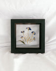 6x6 September Birth Flower frame - Aster