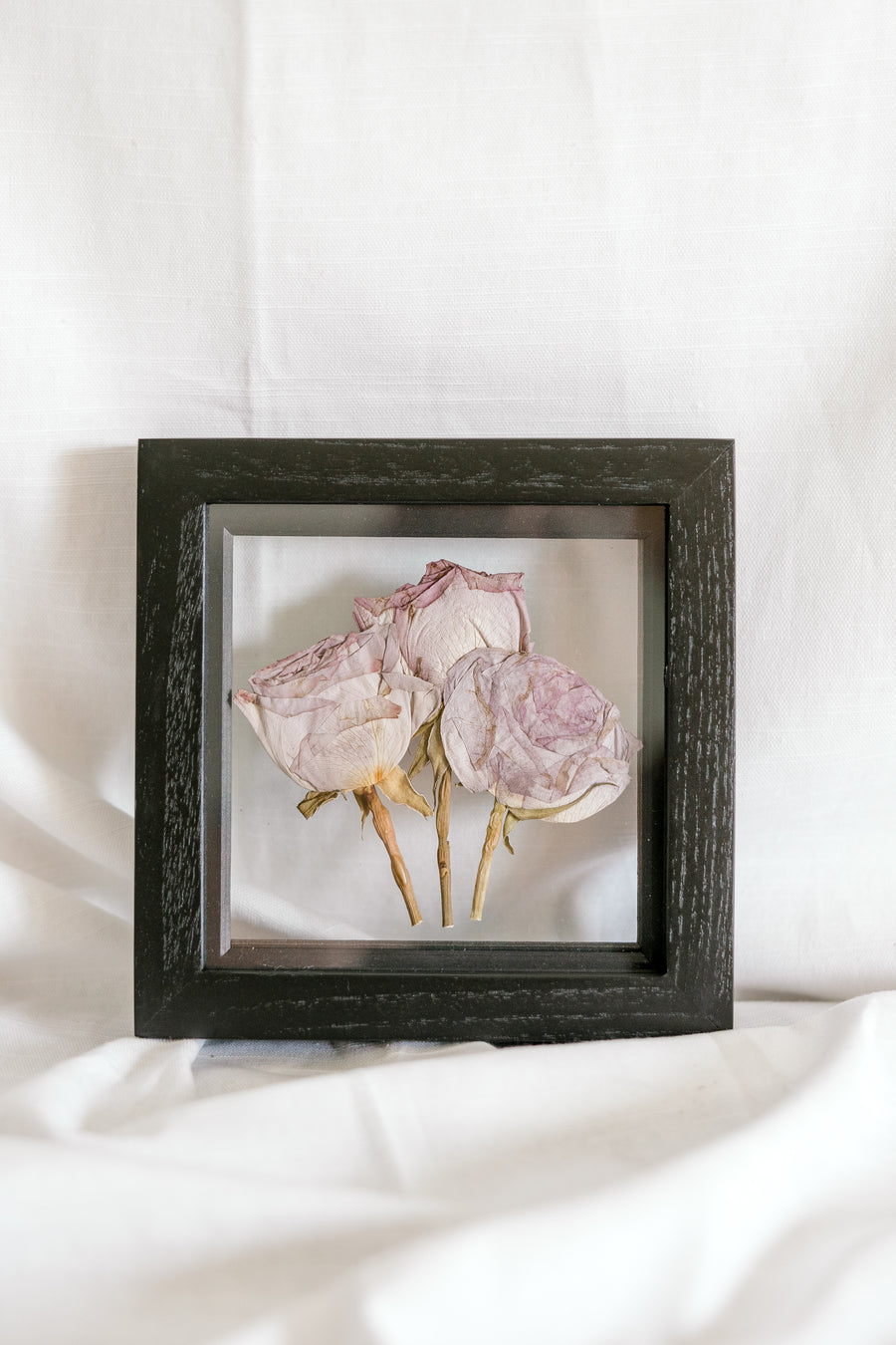 6x6 June birth flower frame - Rose
