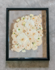 An all white ball bouquet pressed and preserved into a black frame against concrete.