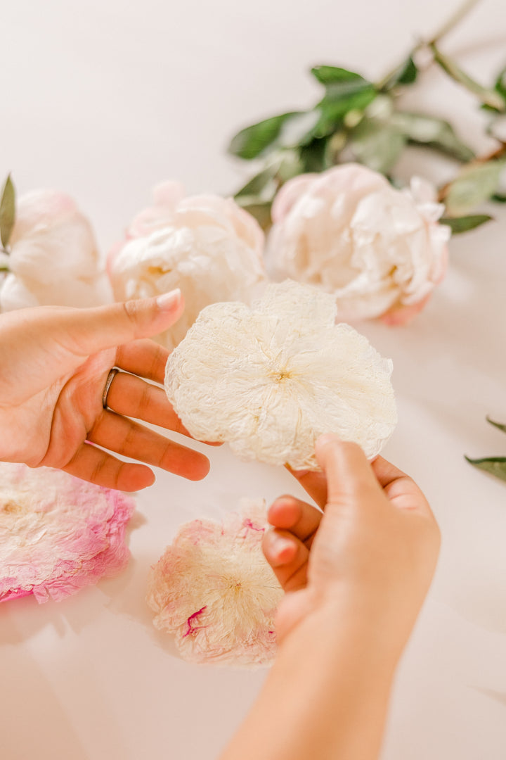 Pressed peony.