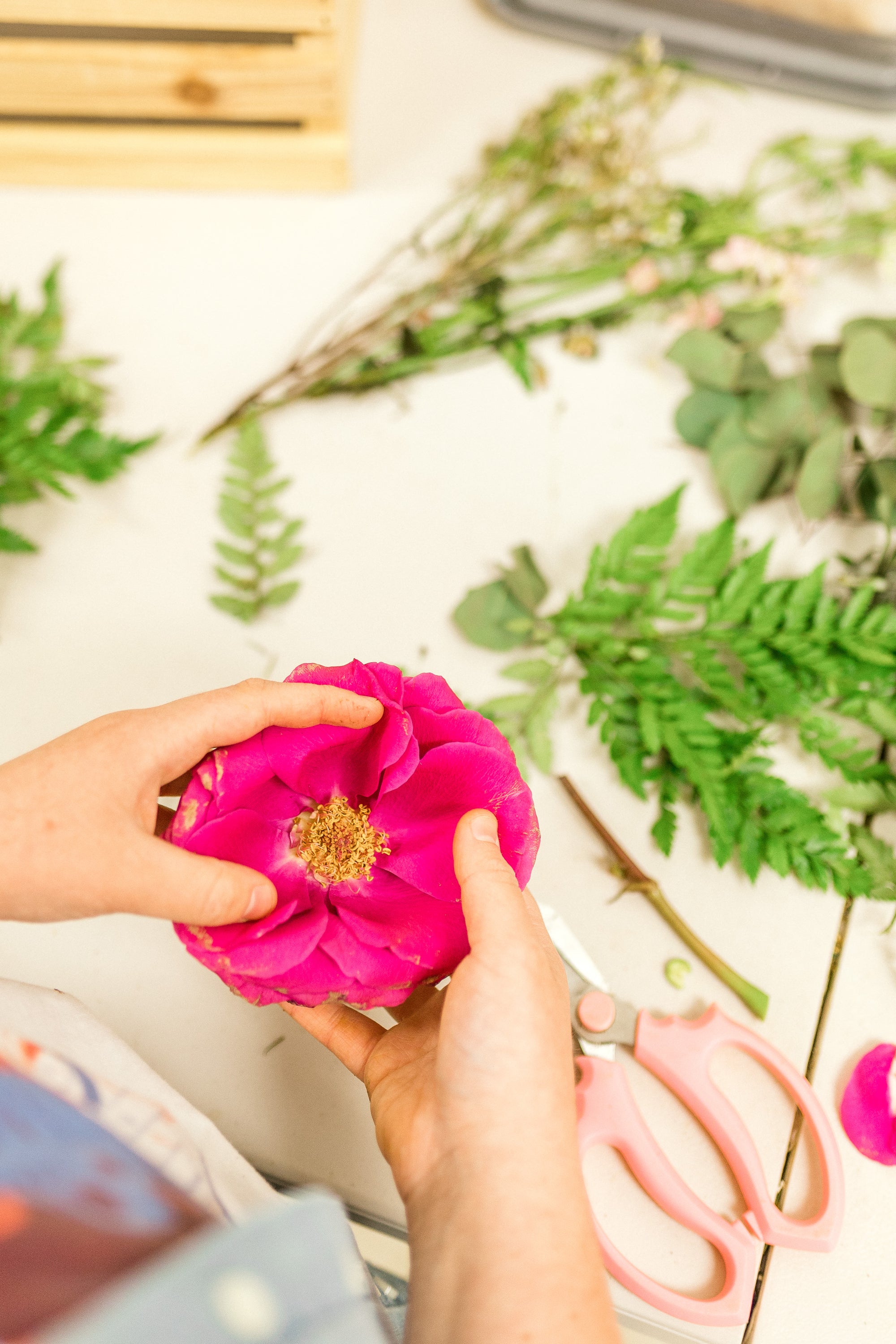 Pressing pretty rose flower and greens from a wedding bouquet