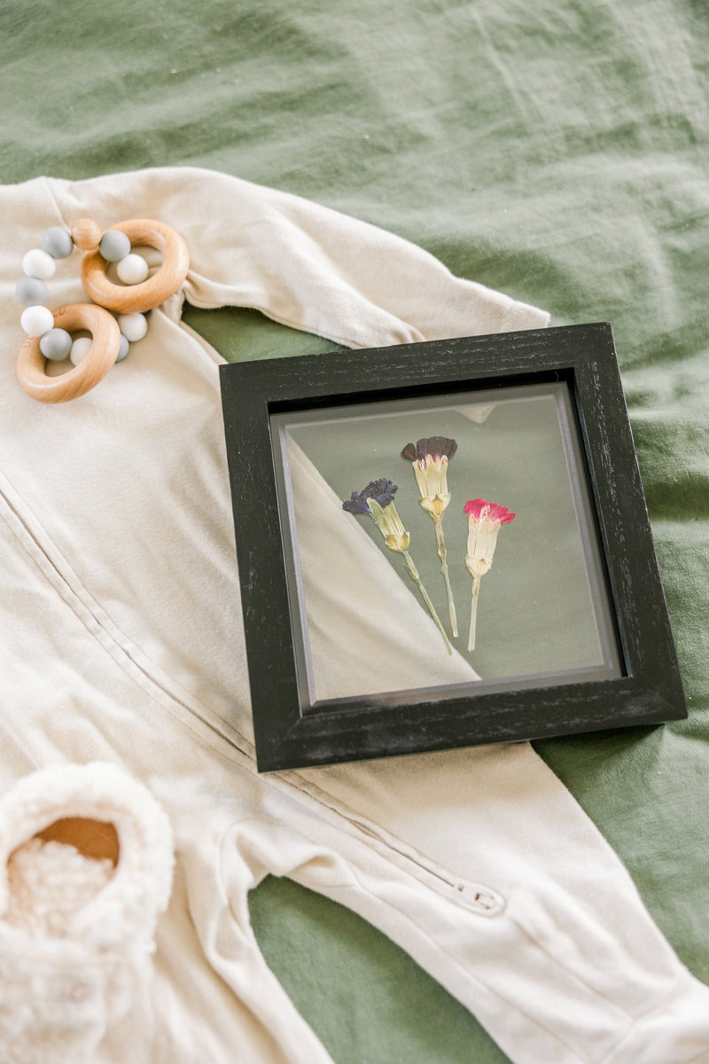A trio of pressed carnations are displayed in a frame as January's birth flower. 