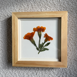 Birth Flower Frame | 10x10 | 6x6